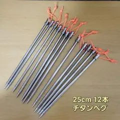チタンペグ 25cm 12本 soomloom 新品未使用 軽量