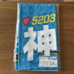 ボートレース　ピンクルサイン入りぬいぐるみ　武井莉里佳　神里琴音　競艇 ボートレース ピンクルサイン入りぬいぐるみ 武井莉里佳 神里