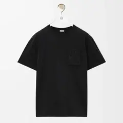 Item thumbnail for item 97210c0f-f56c-49ca-9ccb-2063ebe6d204