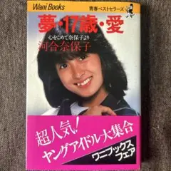 夢・17歳・愛 河合奈保子 写真集 帯付き　ワニブックス
