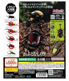 いきもの大図鑑かぶとむし09 カプセル版限定仕様含む 5種類セット