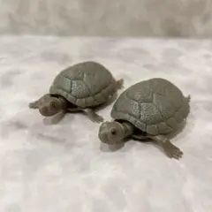◯ミニチュア オーナメント 亀 カメ ダークグレー プラスチック製 2匹入り