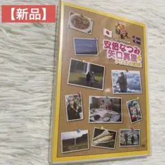 【新品】安倍なつみ&矢口真理 アイスランド旅日記 DVD
