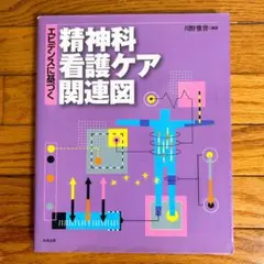 ✨エビデンスに基づく精神科看護ケア関連図⭐️ 病気がみえる セット おまとめ可能