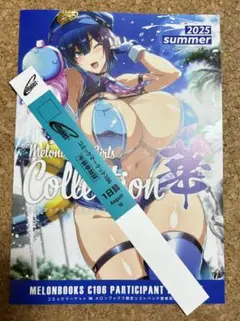 コミックマーケット　コミケ　C106　1日目　午前入場　リストバンド　1枚