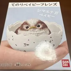 Item thumbnail for item ecebbe75-9236-45e5-9a09-e022fb9d496d