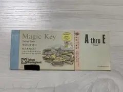 TDL マジックキー(ビッグ10) 6枚