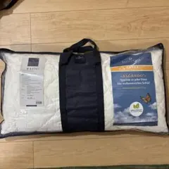 billerbeck 520 ALCANDO 枕 40/80 cm