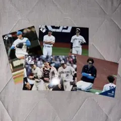 ファイターズ ハイライトフォト 山﨑福也 伏見寅威 さちとら