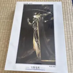 2025年最新】天野喜孝 黒衣の剣士の人気アイテム - メルカリ