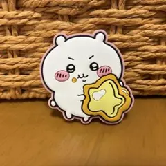 ちいかわカラフルラバーマグネット2