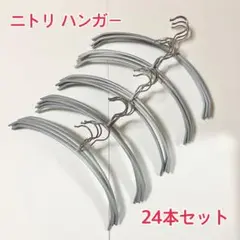 【最終値下げ】ニトリ すべりにくい アーチ型 ハンガー グレー 24本セット