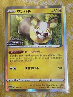 ポケモンカード ワンパチ チャンピオンシップ 2022 プロモ PSA10 ポケモンカード ワンパチ チャンピオンシップ 2022 プロモ PSA10