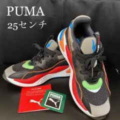PUMA インターネット エクスプロ―リング 25センチ