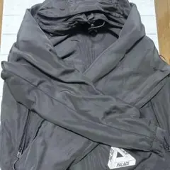 Item thumbnail for item 43e2d0d7-7619-47d0-b795-8fde57ee1b64