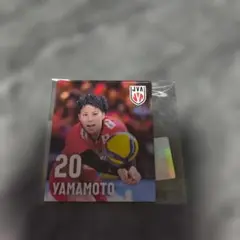 Item thumbnail for item 88ea4810-4936-4427-acd8-e9e36a09ec23
