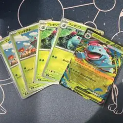 ポケモンカード　メガフシギバナex　進化ライン