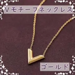 ネックレス V字 ゴールド メンズ レディース シンプル プレゼント 男女兼用