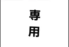 専用出品