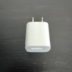Apple純正 USB 電源アダプタ ACアダプタ 充電器