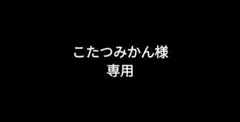 こたつみかん様　専用