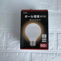 OHM ボール電球 G70 60W ホワイト