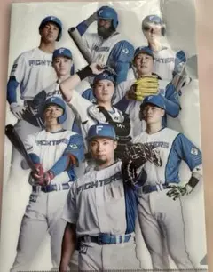 日本ハムファイターズ　クリアファイル