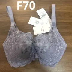 新品❤️F70 グレー　在庫ラスト　トリンプ] レッドレーベル バイ ブラジャー