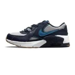 NIKE エアマックス エクシー(22.0cm)