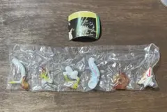 ひょっこり雛龍　零れ話　火輪