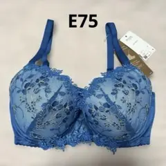 タグ付き【新品未使用】ウィングレシアージュ胸ふっくらやさしくフィットPB2920