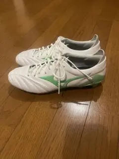 モレリア ネオ4 フロンティアパック 27cm