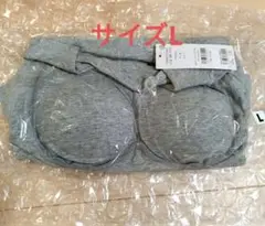 Item thumbnail for item 483eb73b-00a1-4c53-899d-94414885a29d