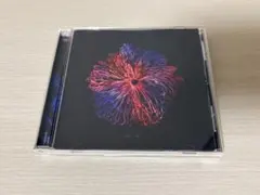 みやかわくん　略奪　CD