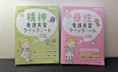 【バラ売り可】母性看護実習クイックノート 精神