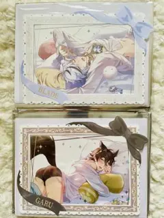 NU:カーニバル ブロマイド＆ケースセット ブレイド ガル