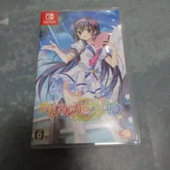 Nintendo Switch カルマルカ*サークル 通常版