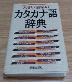 大きい活字のカタカナ語辞典