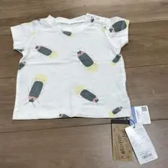 Item thumbnail for item 03854d67-0253-4bb2-ae3a-810dac09aa39