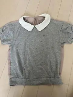 Burberry バーバリー グレー 半袖Tシャツ 白い襟付き