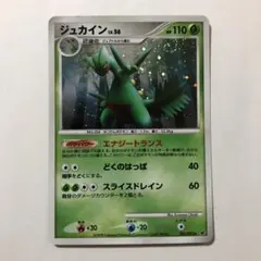 【美品】レアポケモンカードジュカイン Lv56DPS破空の激闘