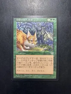 【300円商品 2点で400円】 MTG 草陰の待ち伏せ