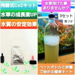 【匿名ヤマト便】水草 光合成 発酵式Co2添加キット【黒フタ 3セット 】