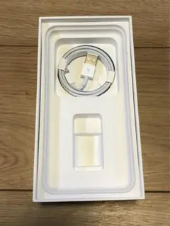iPhone 充電器 純正 ライトニングケーブル 新品 Apple正規品