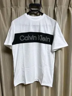 カルバンクライン メンズ Tシャツ ホワイトブラックボーダー US Sサイズ