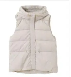 Item thumbnail for item 10b62c35-2009-45ee-8827-6e472a03ab7d