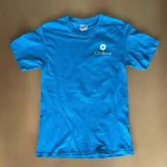Hanes Tシャツ Sサイズ 青色