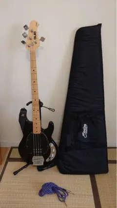 【送料込み】Sterling by MUSIC MAN S.U.B Ray4