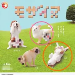 【モザイヌ】
