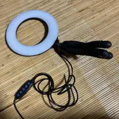 Item thumbnail for item f197c5d0-91bd-4f2f-ab4a-95269ab222ac